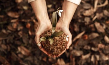 Hands in shape of a heart holding soild and flower with white petals