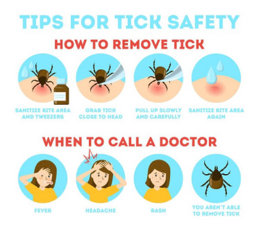 tick bite symptoms in adults