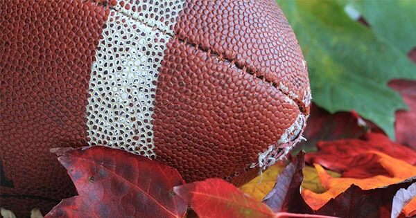 Football on the ground surrounded by autumn leaves